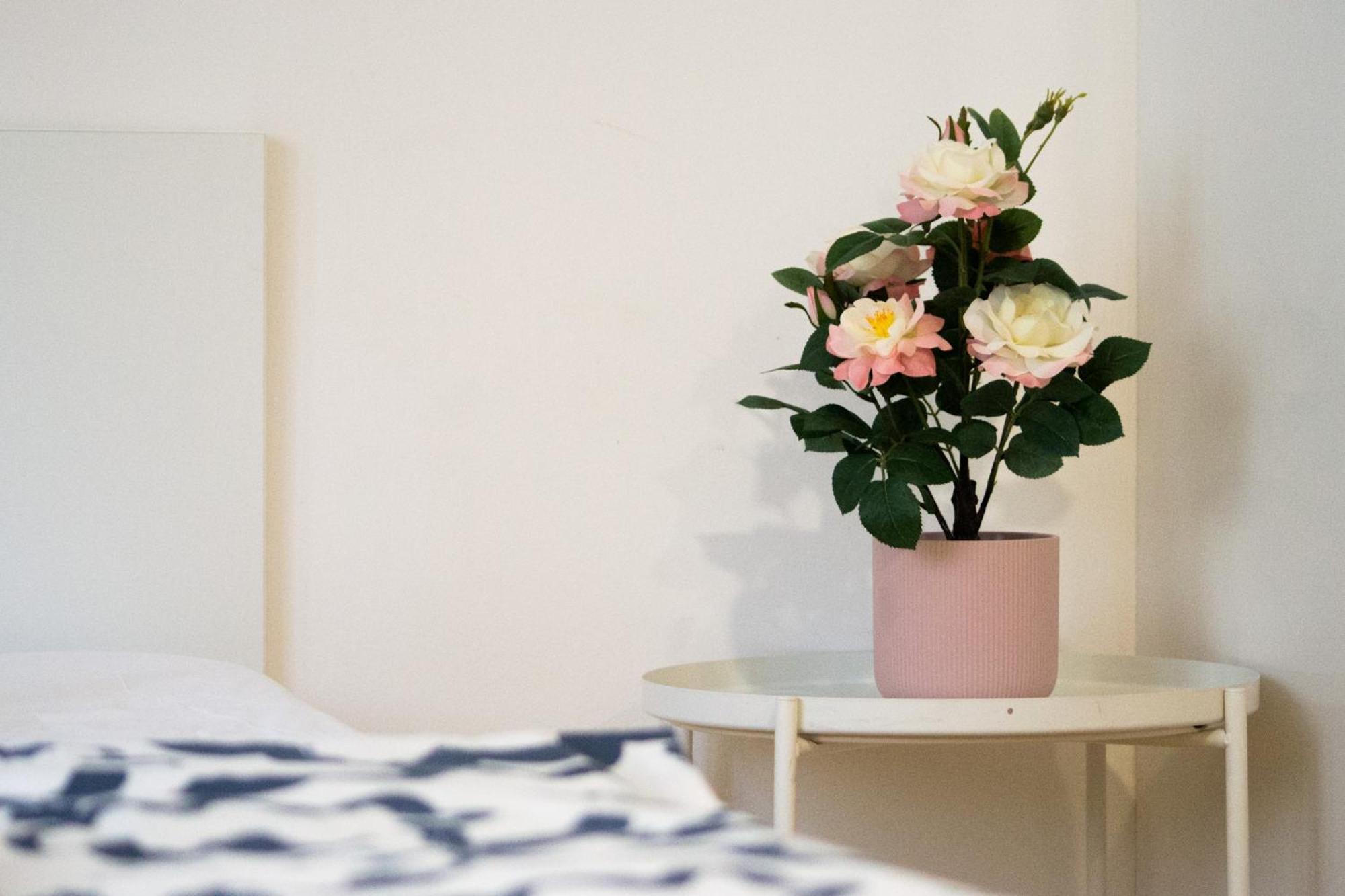 Apartman Vlna Apartment Brno Luaran gambar